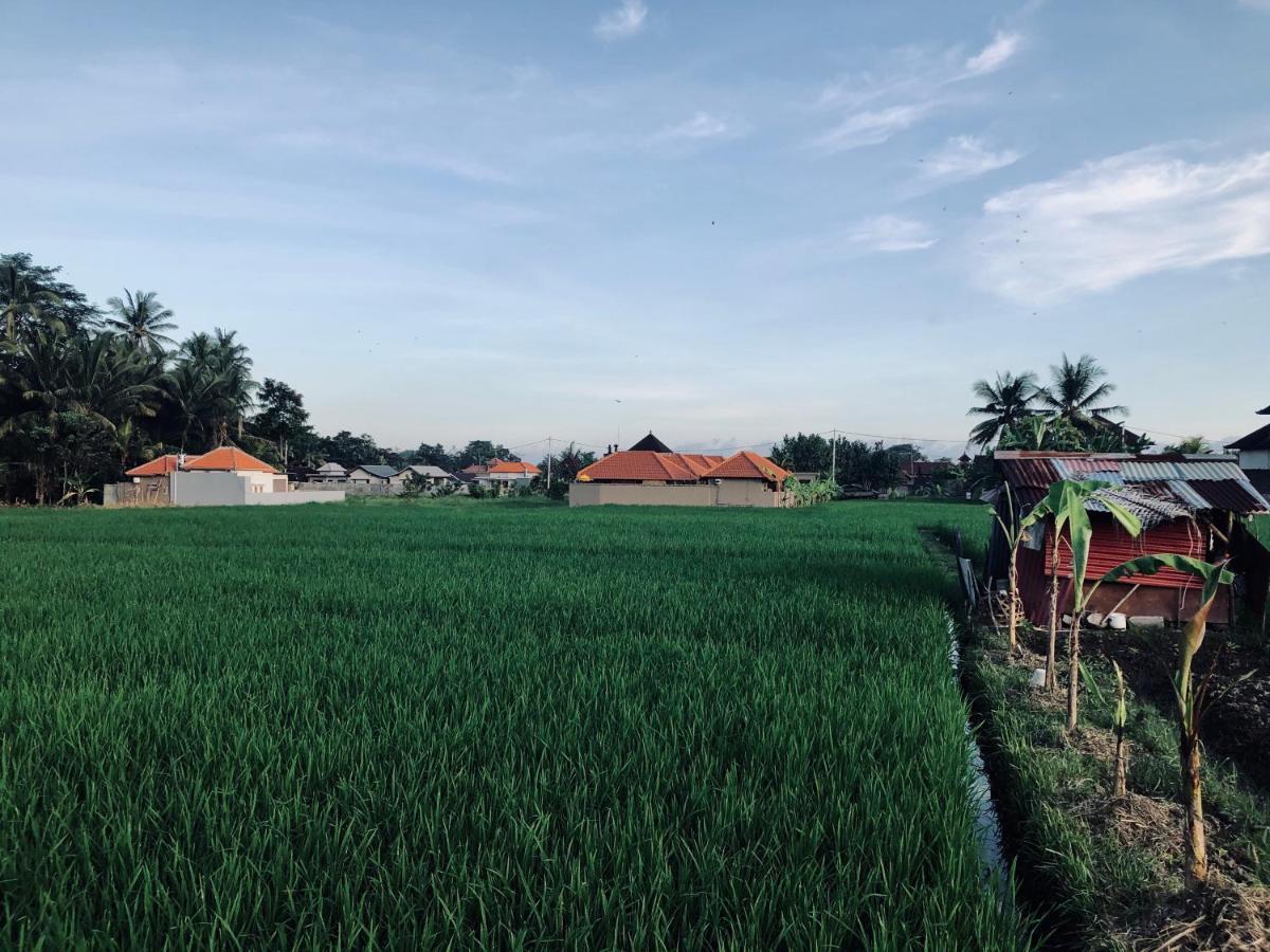 Umagama * Ubud